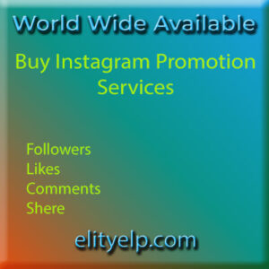 Instagram Promotion Services